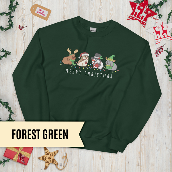 Christmas Bunny Friends Adult Sweatshirt