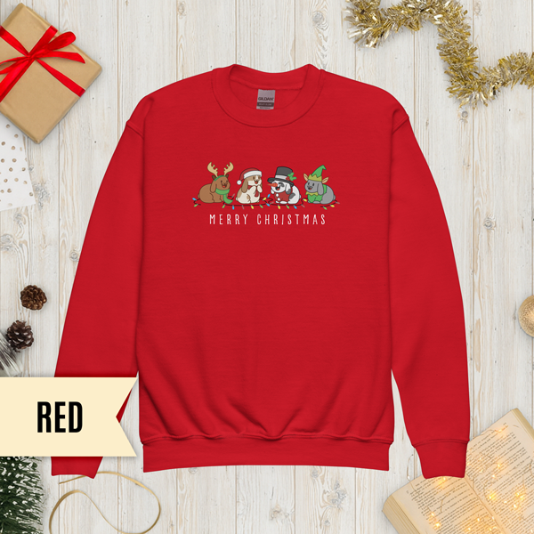 Christmas Bunny Friends Youth Sweatshirt