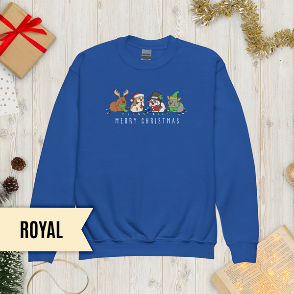 Christmas Bunny Friends Youth Sweatshirt