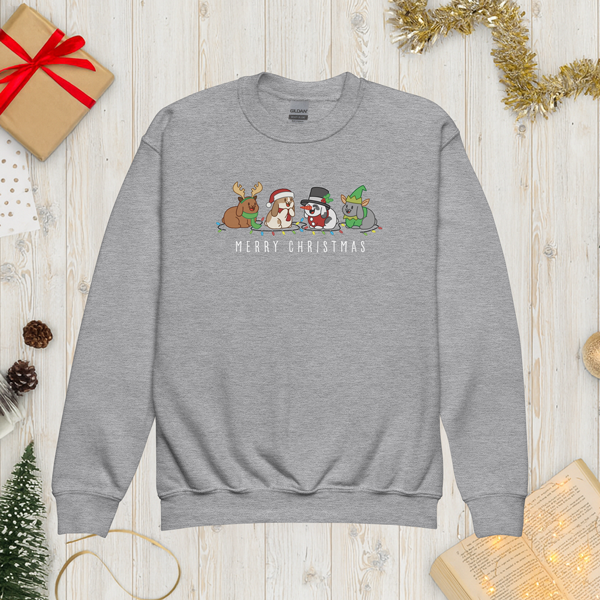 Christmas Bunny Friends Youth Sweatshirt