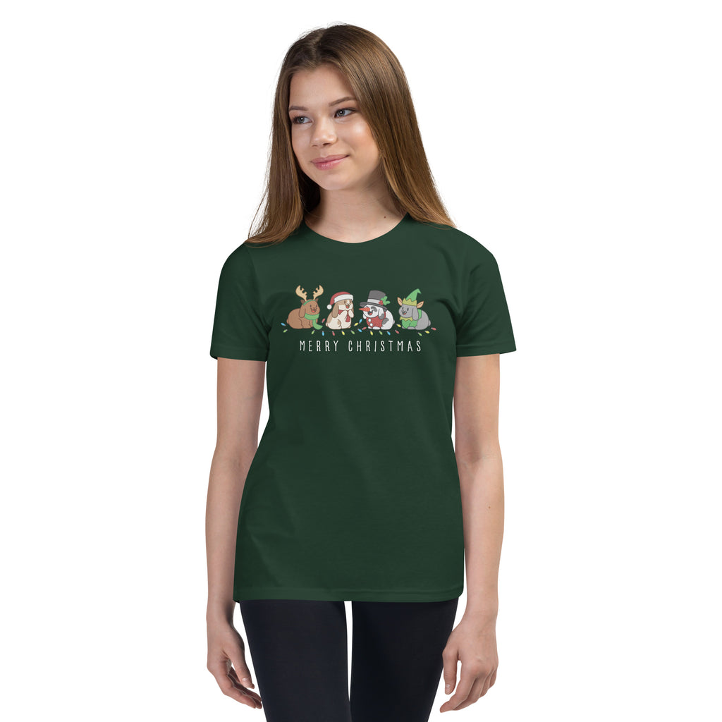 Christmas Bunny Friends Youth T-Shirt